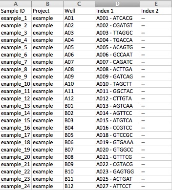 excel_for_export